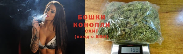 сатива Арсеньев
