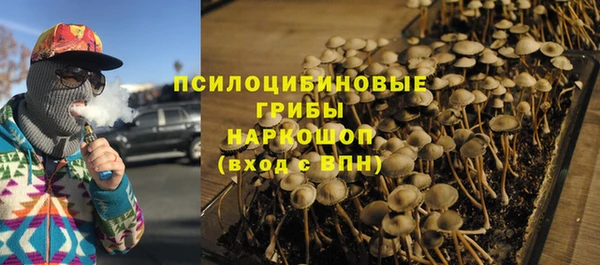 тгк Аркадак
