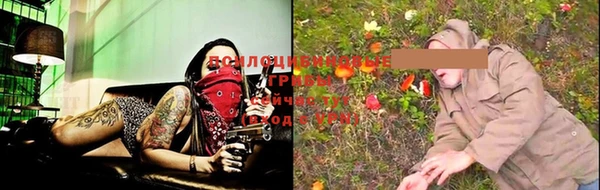 тгк Аркадак